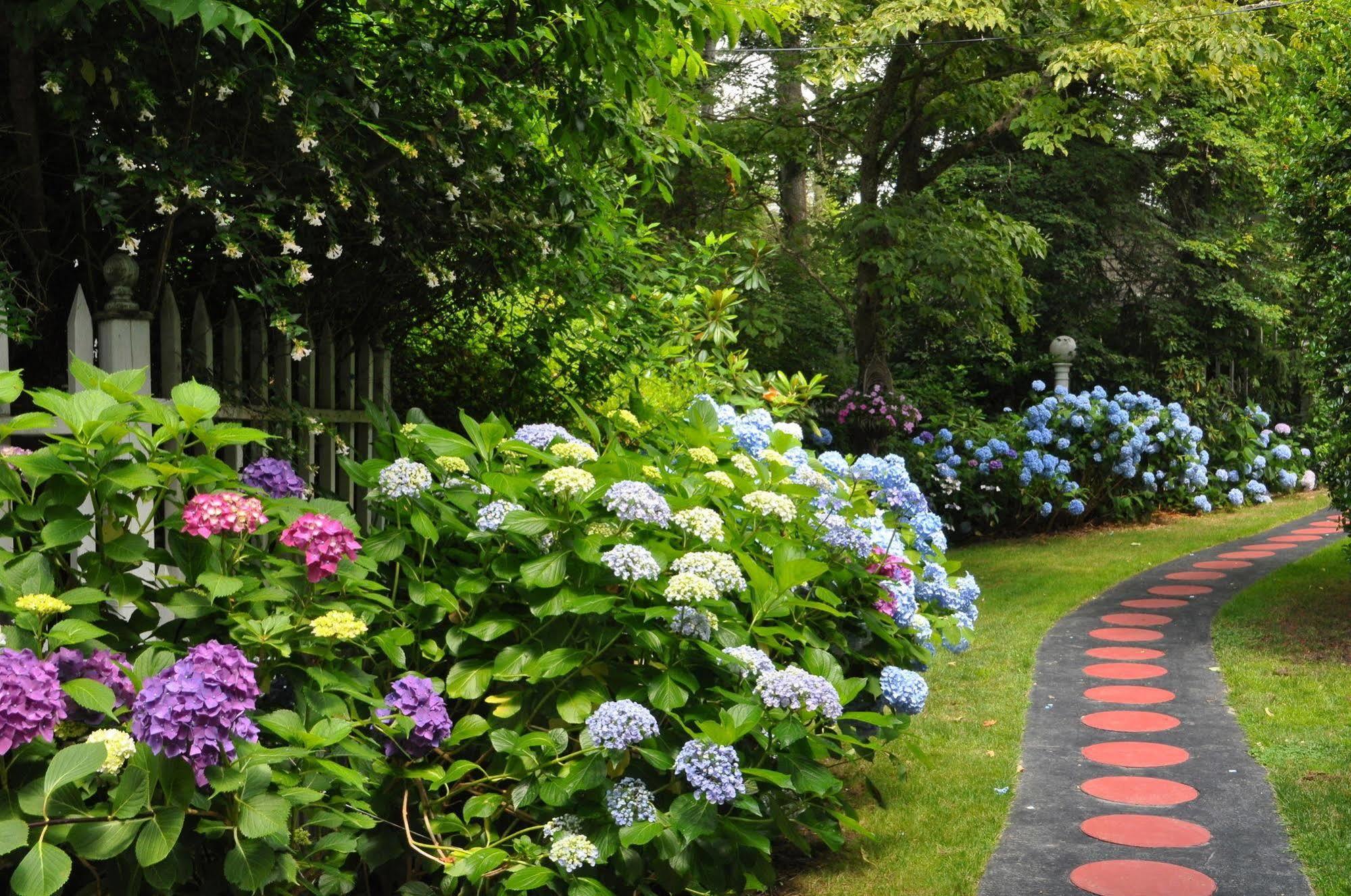 The Melange Inn Hendersonville Esterno foto